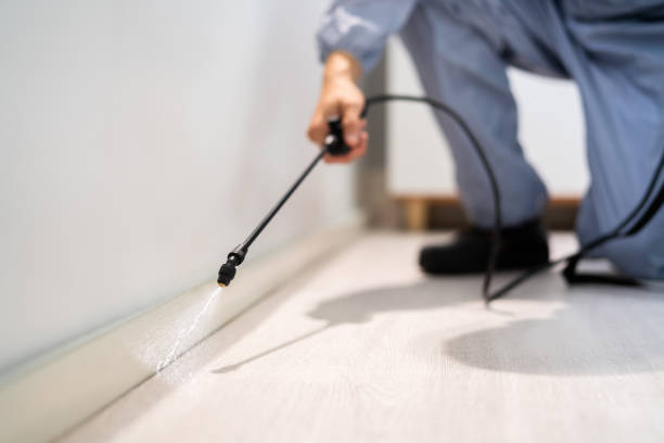 Licensed Fumigation Services service in Jack County County, TX - Nex Pest Control